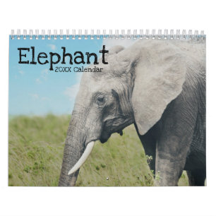 Elephant Kalender