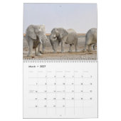 Elephant Kalender (Mar 2027)