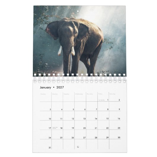 Elephant Kalender (Jan 2027)
