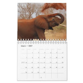 Elephant Kalender (Mar 2027)