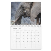 Elephant Kalender (Feb 2026)