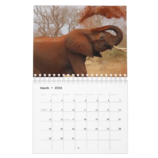 Elephant Kalender (Mar 2026)