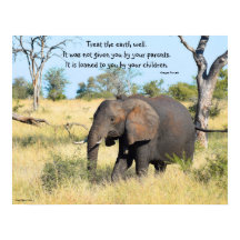 Elephant Kenya Proverb