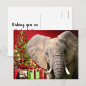 Elephant kerstgroet briefkaart (Voorkant / Achterkant)