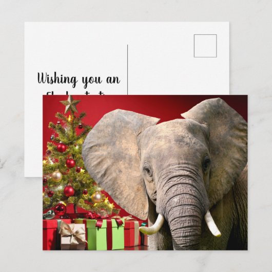Elephant kerstgroet briefkaart (Voorkant / Achterkant)