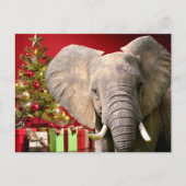 Elephant kerstgroet briefkaart (Voorkant)