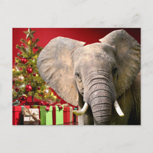 Elephant kerstgroet briefkaart