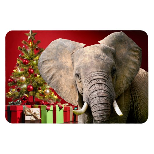 Elephant kerstgroet magneet (Horizontaal)