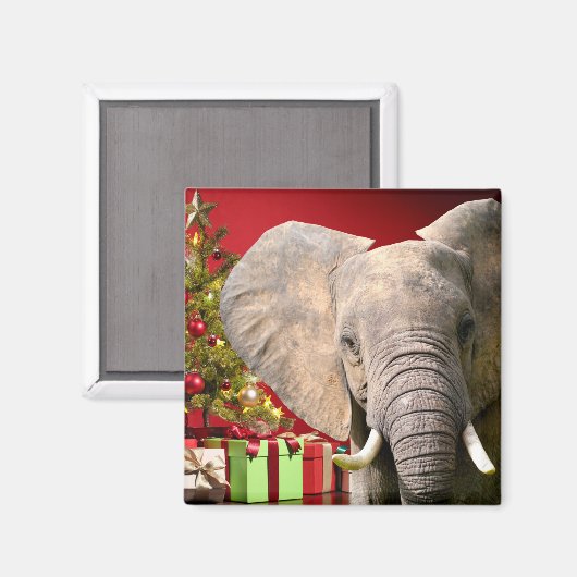 Elephant kerstgroet magneet (Voorkant / Achterkant)