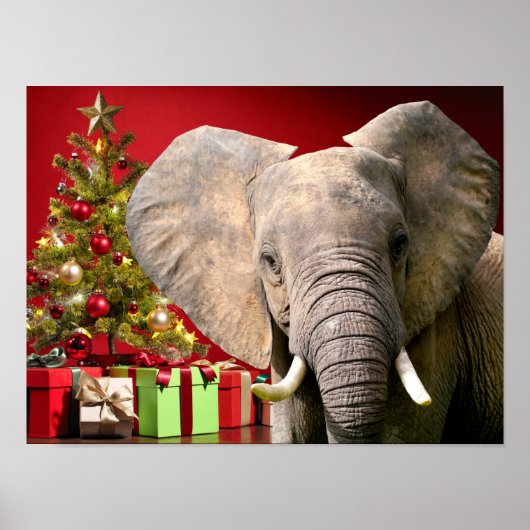 Elephant kerstgroet poster (Voorkant)