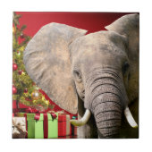Elephant kerstgroet tegeltje (Voorkant)