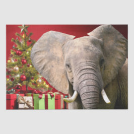 Elephant kerstgroet tissuepapier