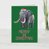 Elephant Kerstmis Kaart (Voorkant)