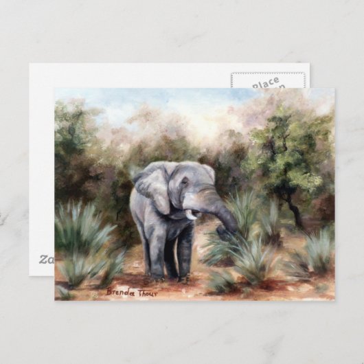Elephant komt door Briefkaart (Voorkant / Achterkant)