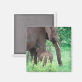 Elephant lactation magneet (Voorkant / Achterkant)