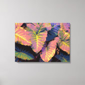 Elephant Leaves in Tropische Pastels Canvas Afdruk (Voorkant)