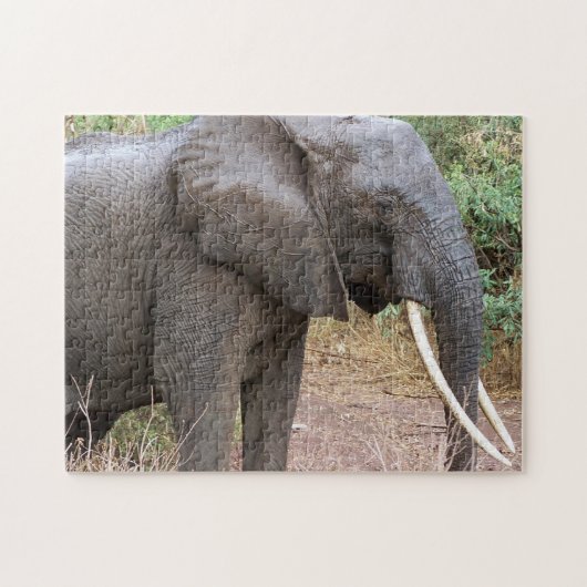 Elephant Legpuzzel (Horizontaal)