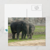Elephant Loe Briefkaart (Voorkant / Achterkant)