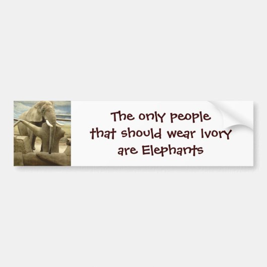 Elephant Love Bumpersticker (Voorkant)