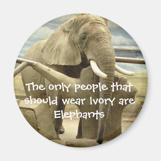 Elephant Love Magneet (Voorkant)