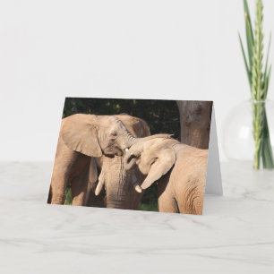 Elephant Love Wenskaart Kaart