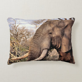 Elephant Lovers Art Accent Kussen