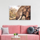 Elephant Lovers Art Canvas Afdruk (Insitu (Woonkamer))