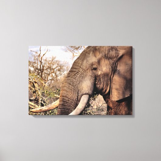 Elephant Lovers Art Canvas Afdruk (Voorkant)
