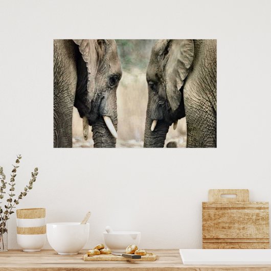Elephant Lovers Art Gifts Poster (Keuken)