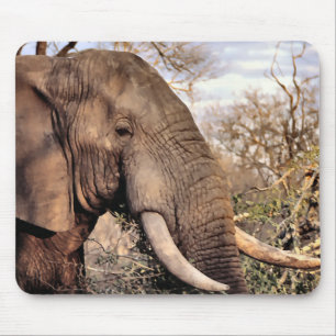Elephant Lovers Art Muismat