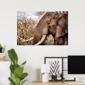 Elephant Lovers Art Poster (Thuiskantoor)