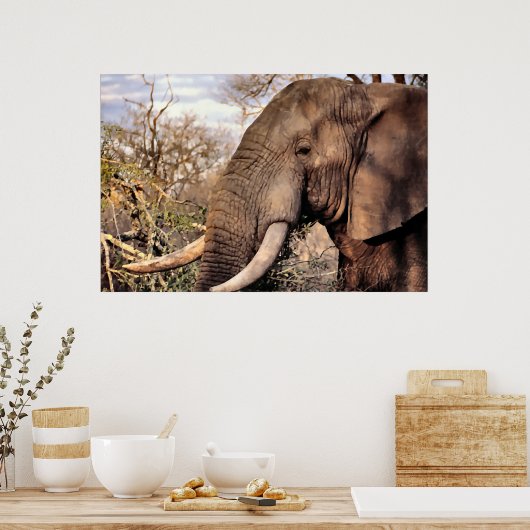 Elephant Lovers Art Poster (Keuken)