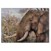 Elephant Lovers Art Snijplank (Voorkant)