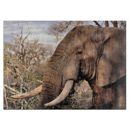 Elephant Lovers Art Snijplank