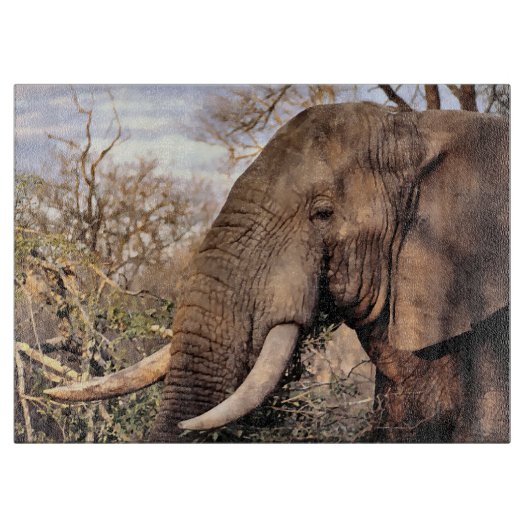 Elephant Lovers Art Snijplank (Voorkant)