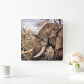 Elephant Lovers Art Vierkante Klok (Huis)