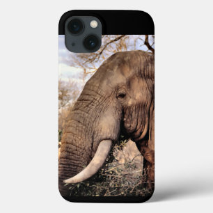 Elephant Lovers iPhone 13 Hoesje