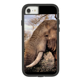 Elephant Lovers iPhone 13 Hoesje