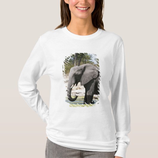 Elephant (Loxodonta africana), Savute Channel T-shirt (Voorkant)
