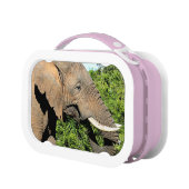 Elephant Lunchbox (Links)