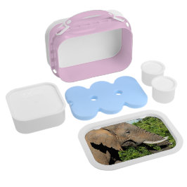 Elephant Lunchbox