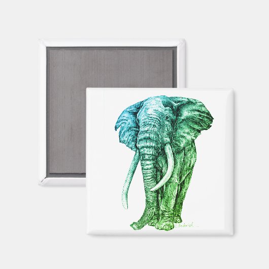 Elephant Magneet (Voorkant / Achterkant)