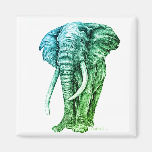 Elephant Magneet (Voorkant)