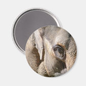 ELEPHANT MAGNEET (Voorkant / Achterkant)