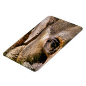 ELEPHANT MAGNEET (Linkerzijde)