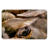 ELEPHANT MAGNEET (Horizontaal)