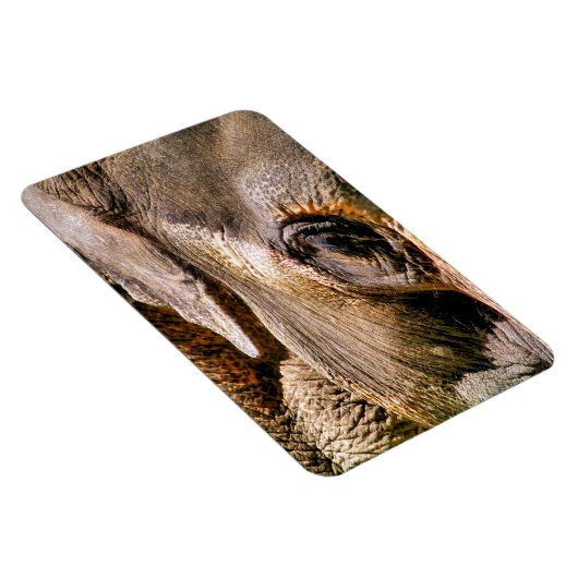ELEPHANT MAGNEET (Rechterzijde)