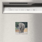 Elephant Magneet (Insitu (Vaatwasser))