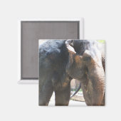 Elephant Magneet (Voorkant / Achterkant)