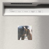 Elephant Magneet (Insitu (Vaatwasser))